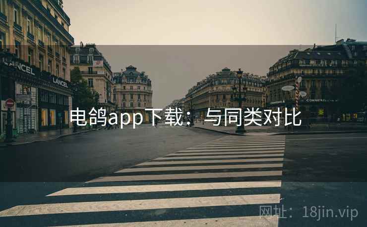 电鸽app下载:与同类对比 第1张 电鸽app下载:与同类对比 第1张