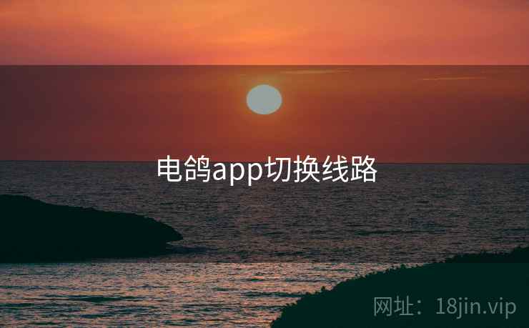 电鸽app切换线路 第2张 电鸽app切换线路 第2张